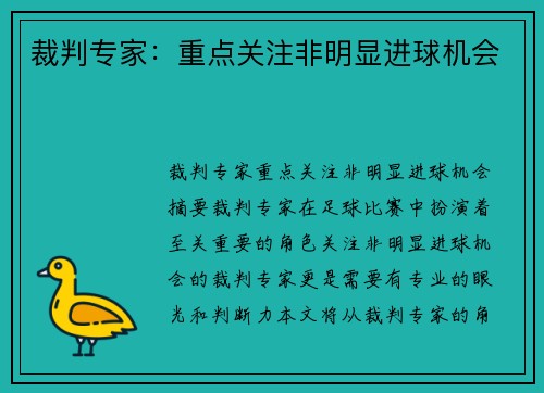 裁判专家：重点关注非明显进球机会